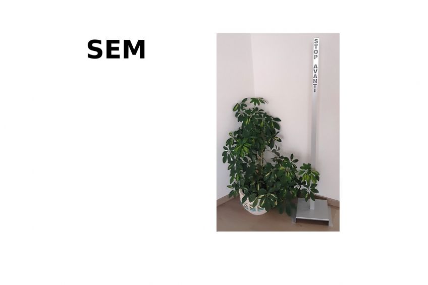 SEM Elkor